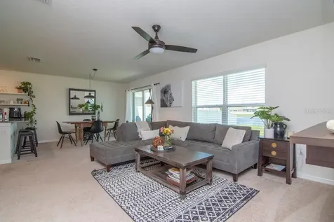 1106 Swaying Sawgrass Avenue Ruskin FL 33570