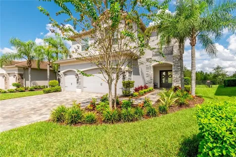 30407 Tristania Court Wesley Chapel FL 33543