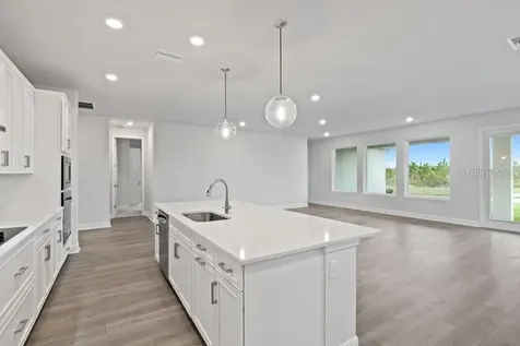 31489 Westbury Estates Avenue Wesley Chapel FL 33545