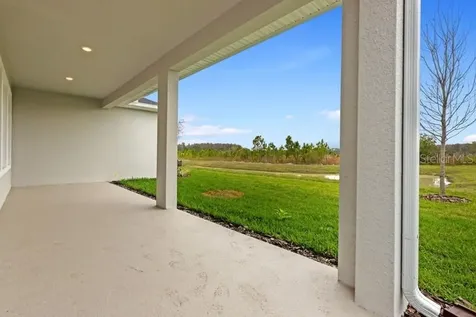 31489 Westbury Estates Avenue Wesley Chapel FL 33545