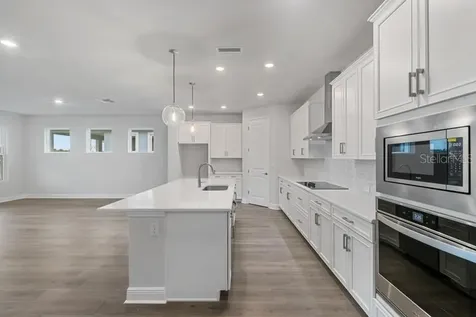 31489 Westbury Estates Avenue Wesley Chapel FL 33545