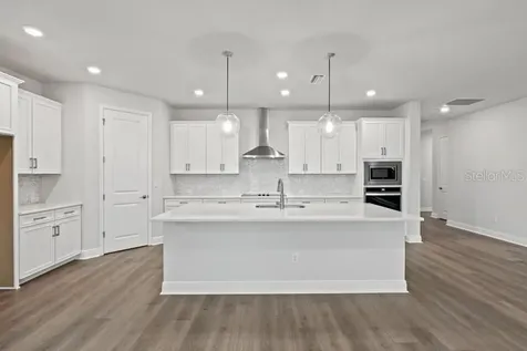 31489 Westbury Estates Avenue Wesley Chapel FL 33545