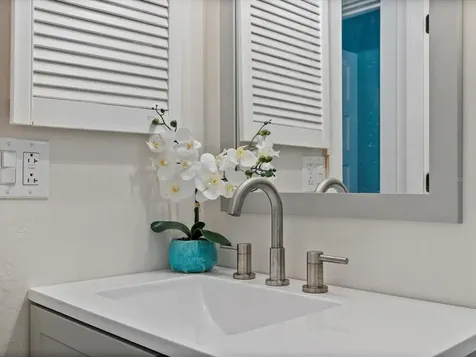 3856 Berkshire Court Palm Harbor FL 34684