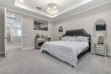 4684 San Martino Drive Wesley Chapel FL 33543