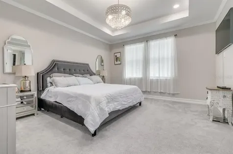 4684 San Martino Drive Wesley Chapel FL 33543