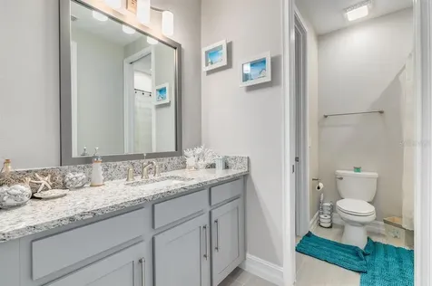 4684 San Martino Drive Wesley Chapel FL 33543