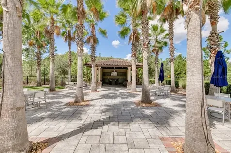 4684 San Martino Drive Wesley Chapel FL 33543