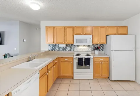 2573 Birch Avenue The Villages FL 32162