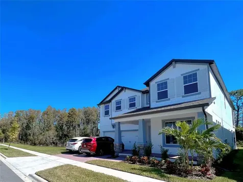 13725 Werrington Drive Winter Garden FL 34787