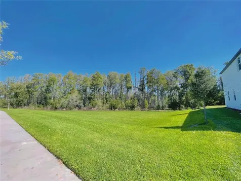 13725 Werrington Drive Winter Garden FL 34787
