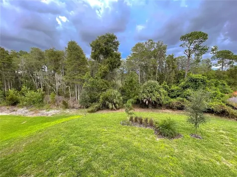 13725 Werrington Drive Winter Garden FL 34787