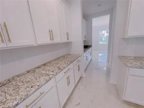 13725 Werrington Drive Winter Garden FL 34787