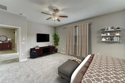17112 Balance Cove Land O Lakes FL 34638