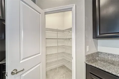 17112 Balance Cove Land O Lakes FL 34638