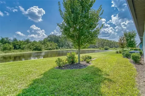 17112 Balance Cove Land O Lakes FL 34638