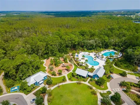 17112 Balance Cove Land O Lakes FL 34638