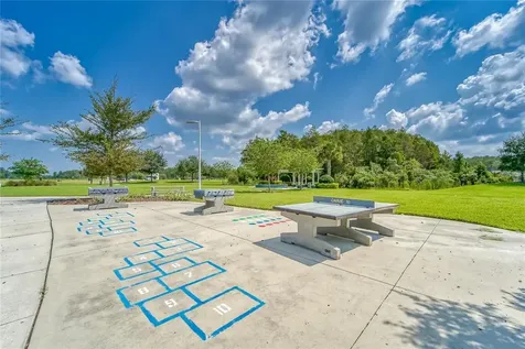 17112 Balance Cove Land O Lakes FL 34638