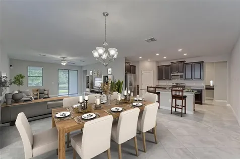 17112 Balance Cove Land O Lakes FL 34638