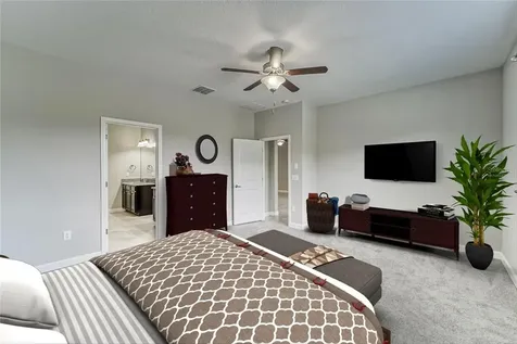 17112 Balance Cove Land O Lakes FL 34638