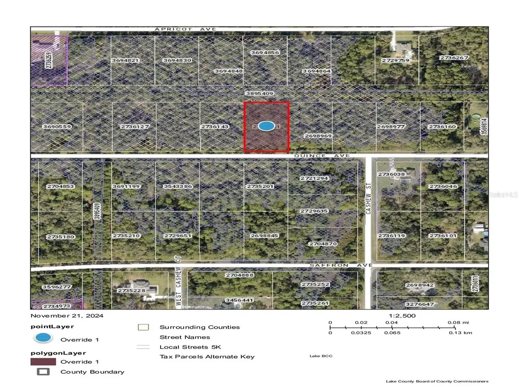 Quince Avenue Eustis FL 32736