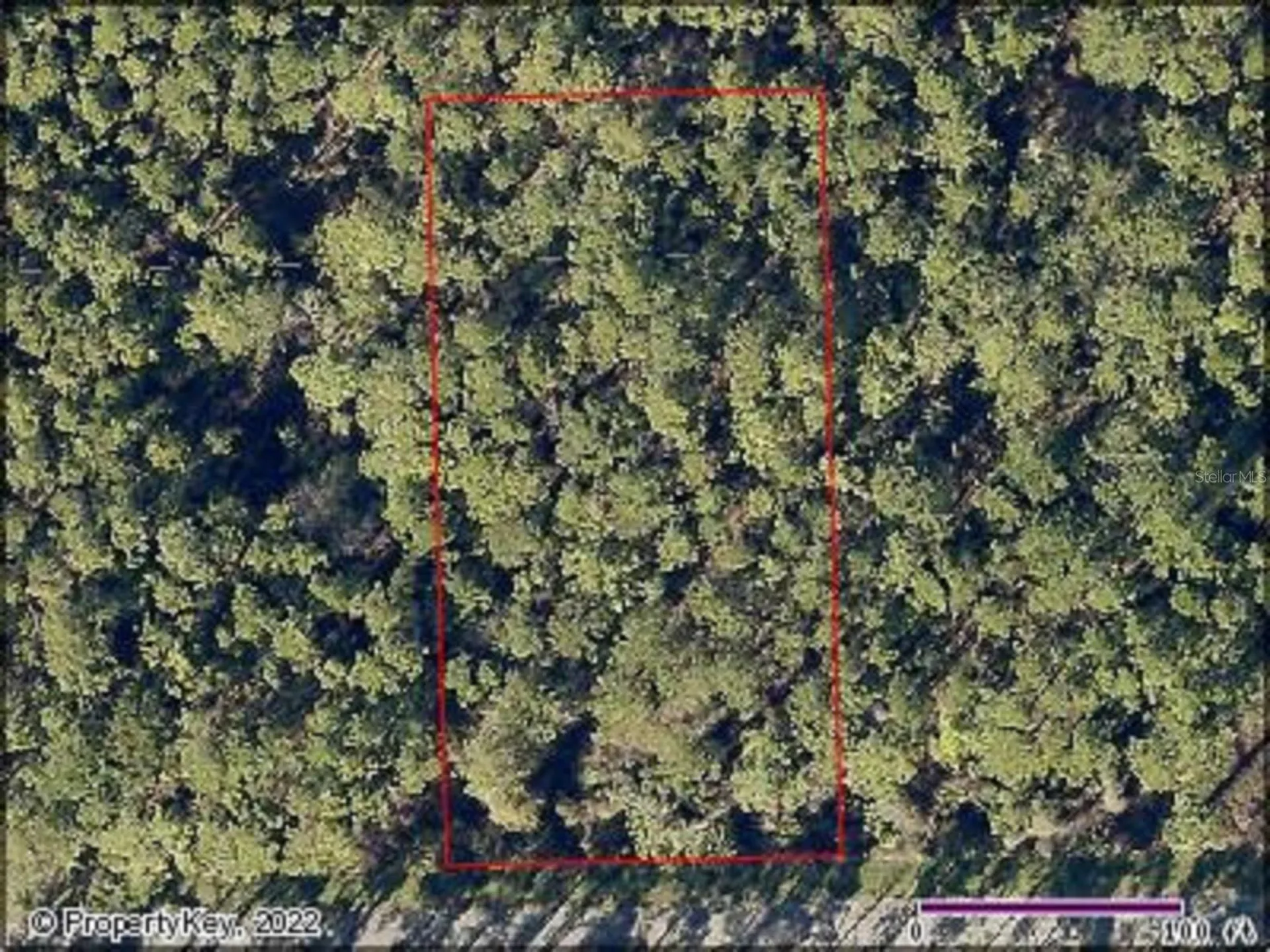 Quince Avenue Eustis FL 32736