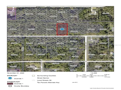 Quince Avenue Eustis FL 32736