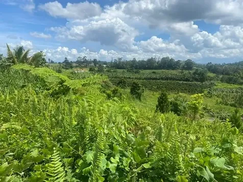 Carr 152 Barranquitas PR 00794