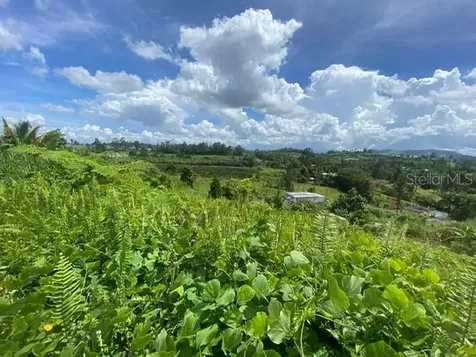 Carr 152 Barranquitas PR 00794