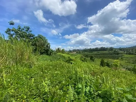 Carr 152 Barranquitas PR 00794