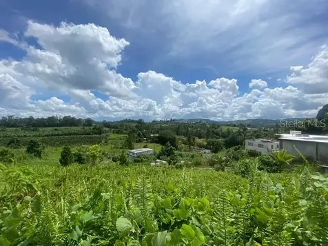 Carr 152 Barranquitas PR 00794