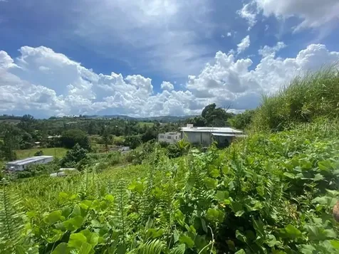 Carr 152 Barranquitas PR 00794