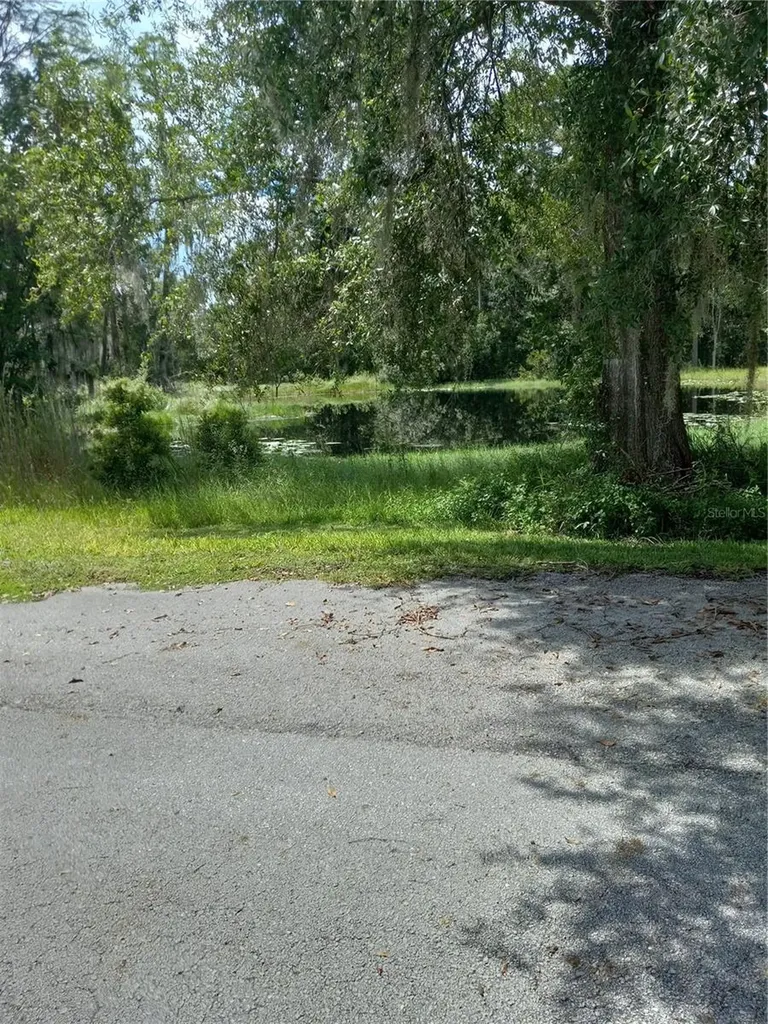 2902 W Lutz Lake Fern Road Lutz FL 33558