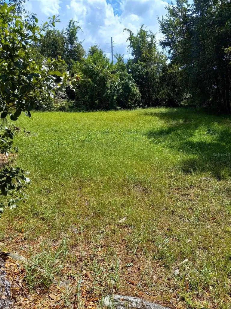 2902 W Lutz Lake Fern Road Lutz FL 33558