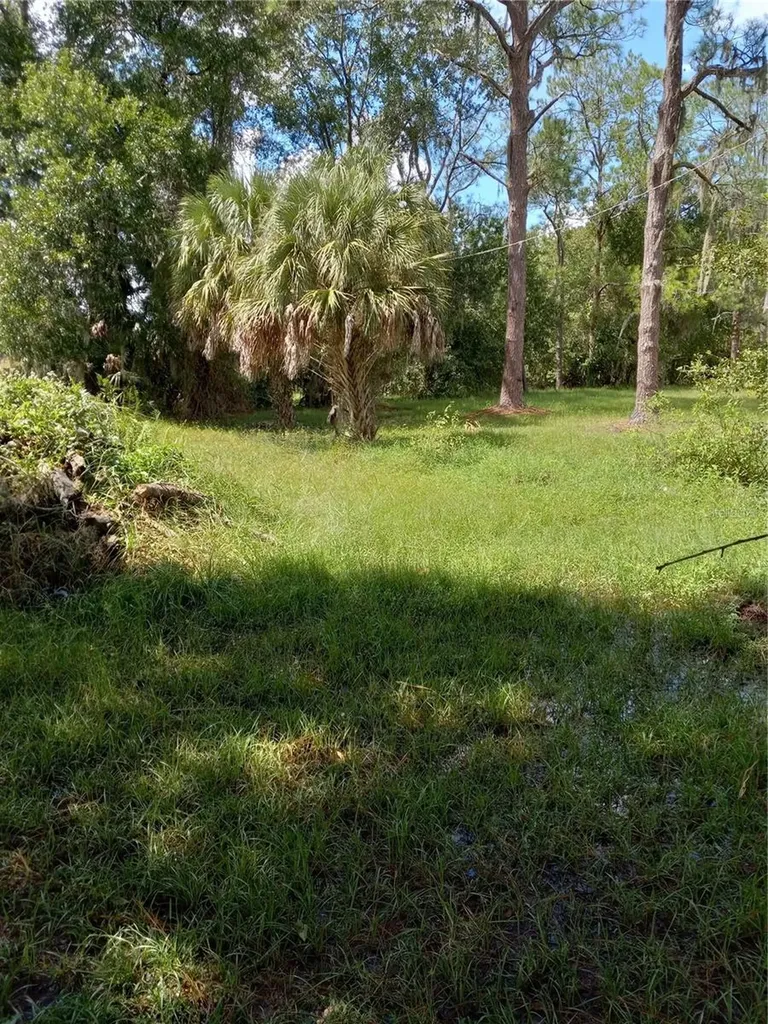 2902 W Lutz Lake Fern Road Lutz FL 33558