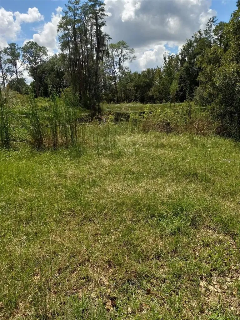 2902 W Lutz Lake Fern Road Lutz FL 33558