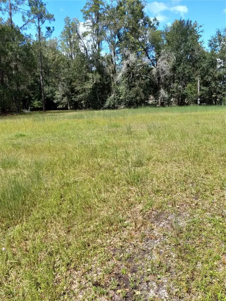 2902 W Lutz Lake Fern Road Lutz FL 33558