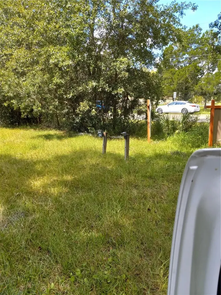 2902 W Lutz Lake Fern Road Lutz FL 33558