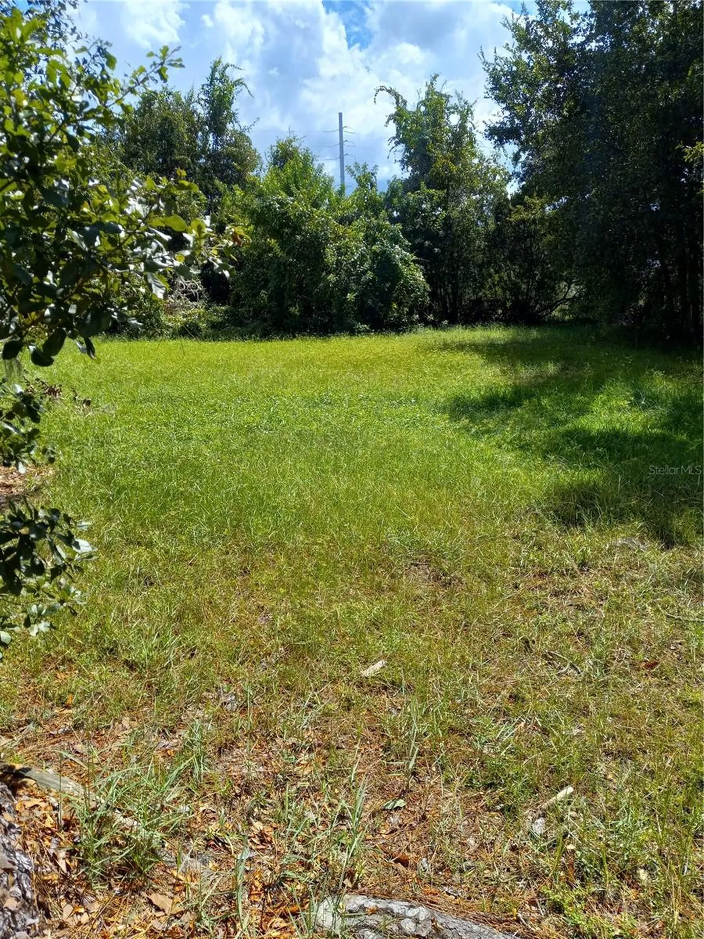 2902 W Lutz Lake Fern Road Lutz FL 33558