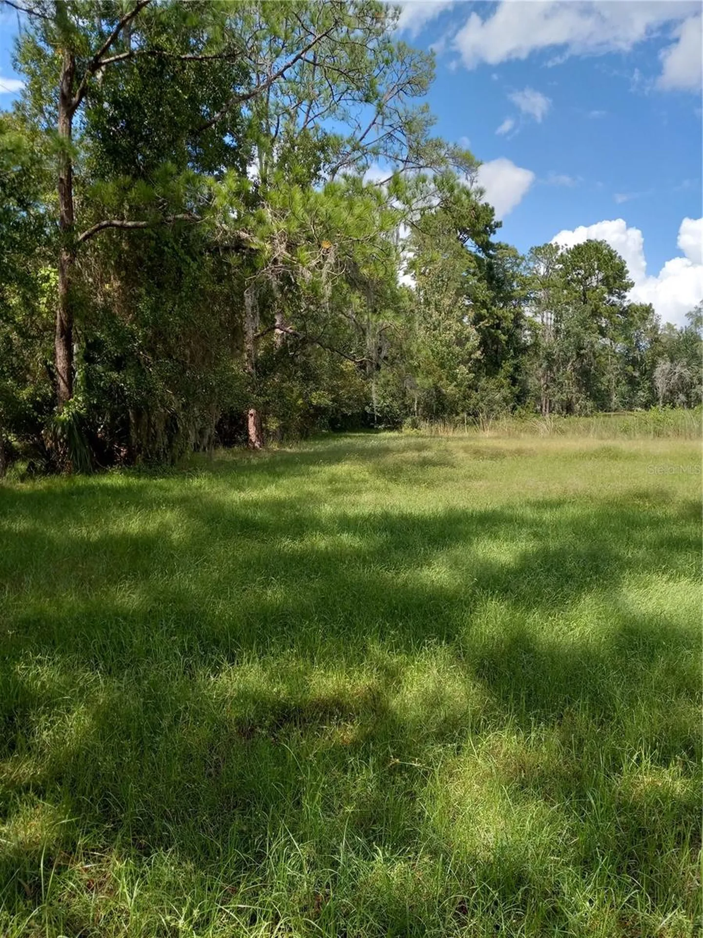 2902 W Lutz Lake Fern Road Lutz FL 33558