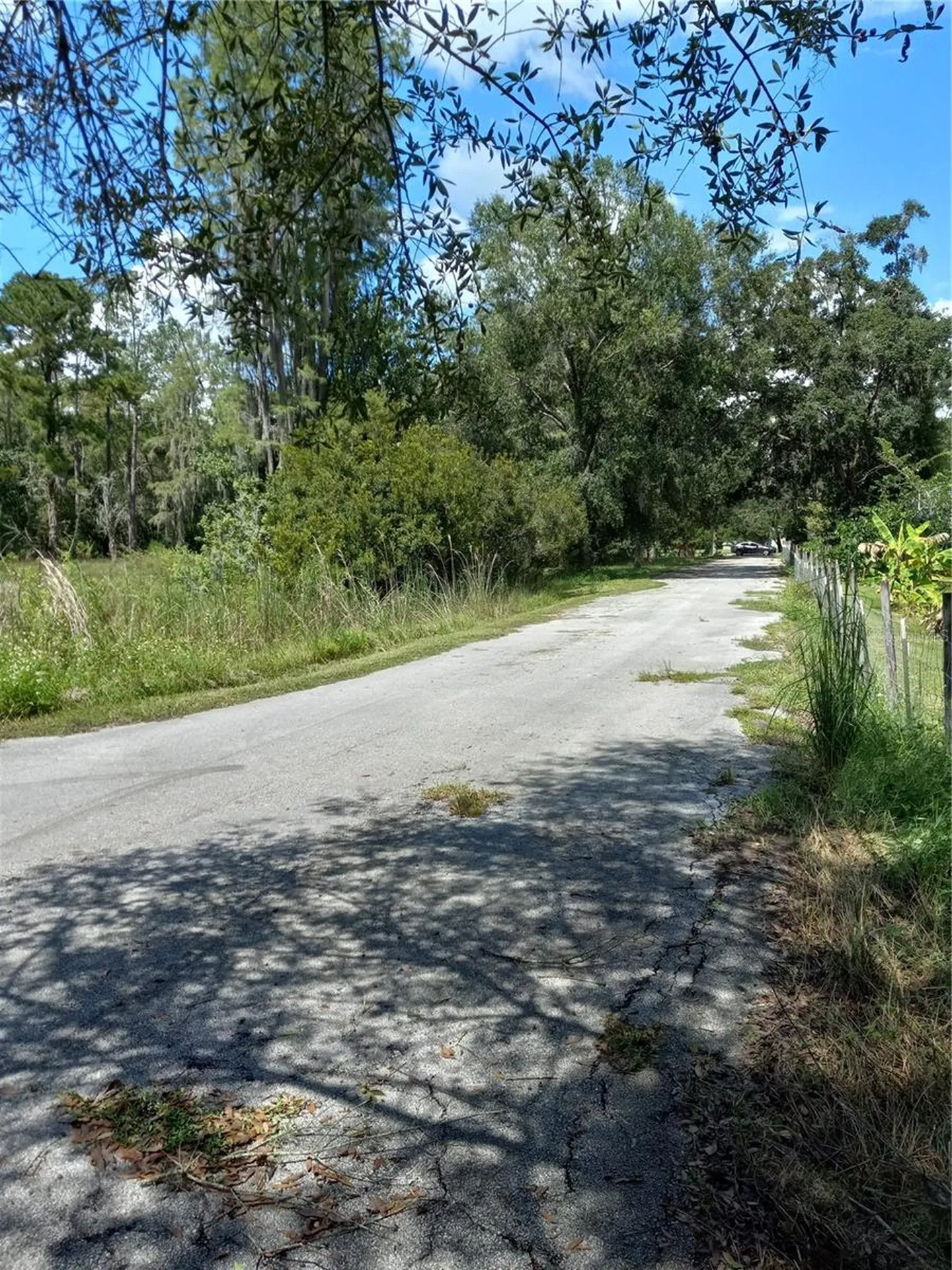 2902 W Lutz Lake Fern Road Lutz FL 33558