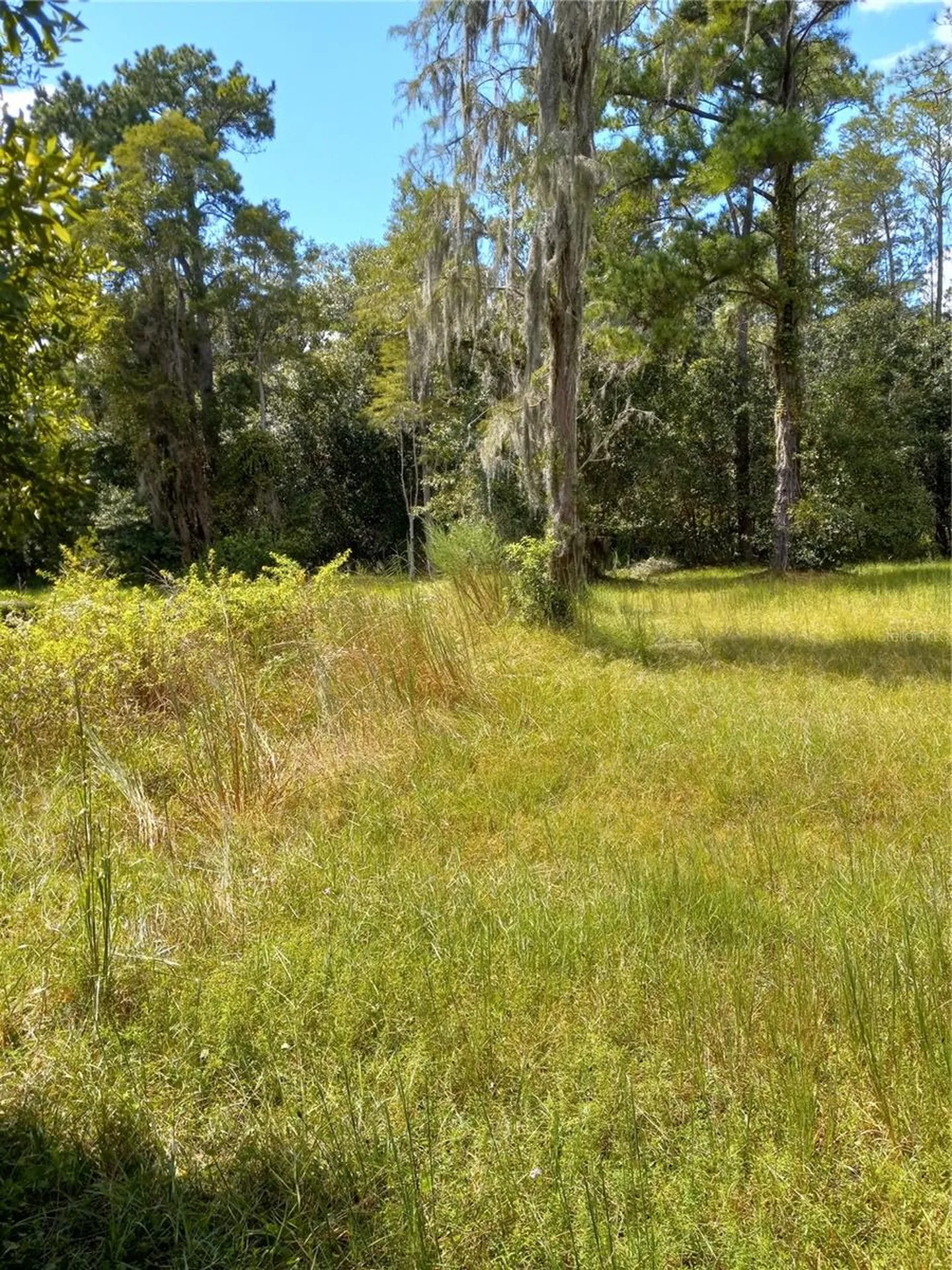 2902 W Lutz Lake Fern Road Lutz FL 33558