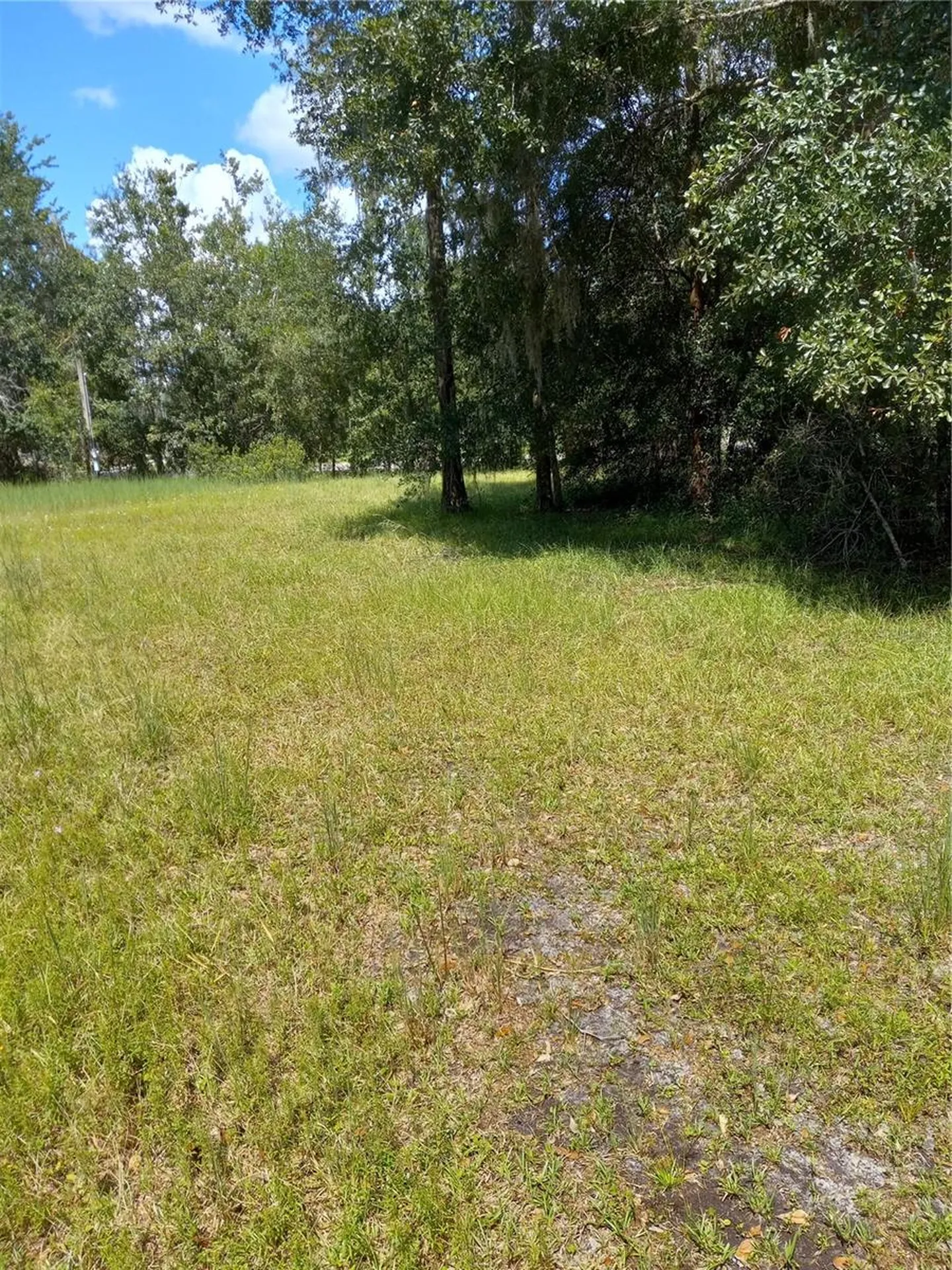2902 W Lutz Lake Fern Road Lutz FL 33558