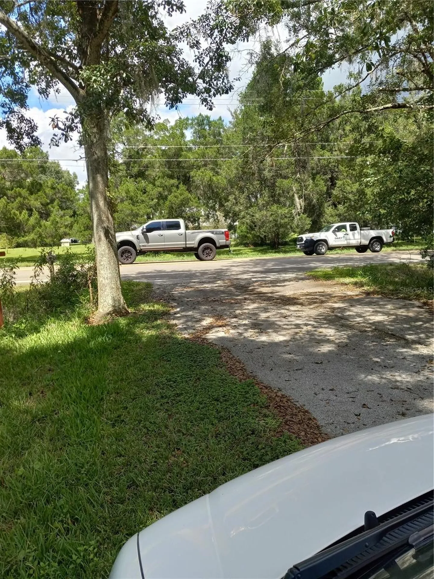 2902 W Lutz Lake Fern Road Lutz FL 33558