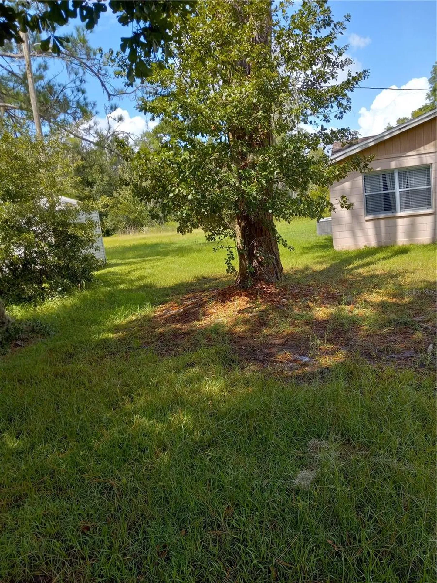 2902 W Lutz Lake Fern Road Lutz FL 33558