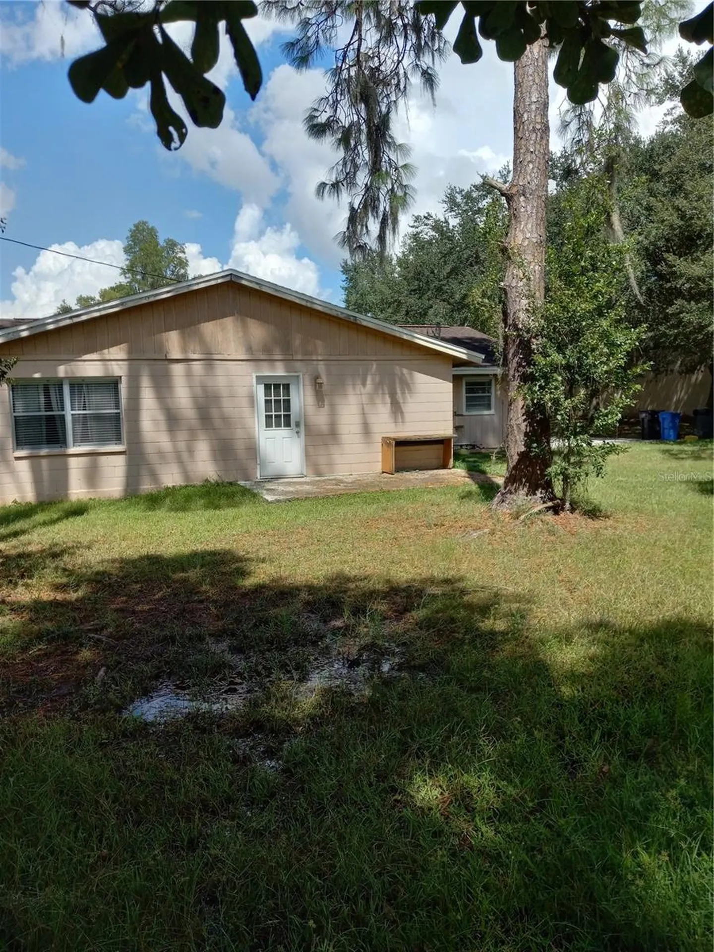 2902 W Lutz Lake Fern Road Lutz FL 33558