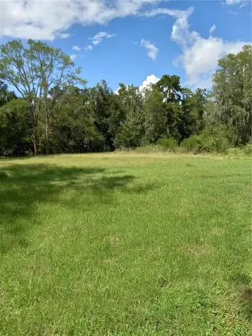 2902 W Lutz Lake Fern Road Lutz FL 33558