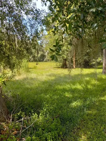 2902 W Lutz Lake Fern Road Lutz FL 33558
