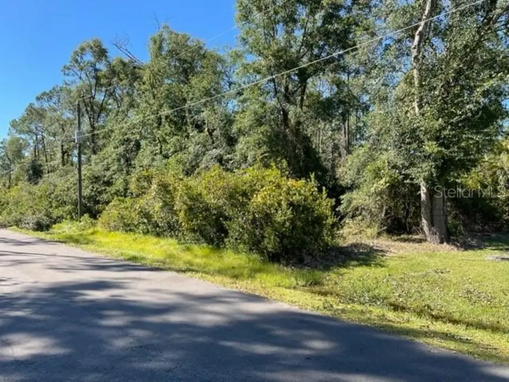 52 Renshaw Drive Palm Coast FL 32164