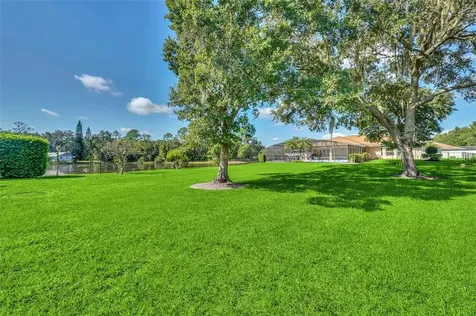1911 Griff Wood Court Saint Cloud FL 34772