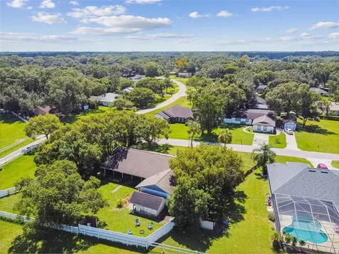 22037 Darley Place Land O Lakes FL 34639